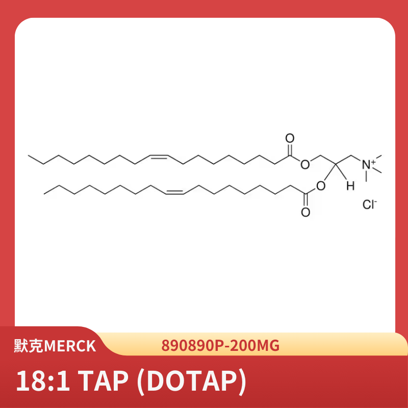 18:1 TAP (DOTAP)